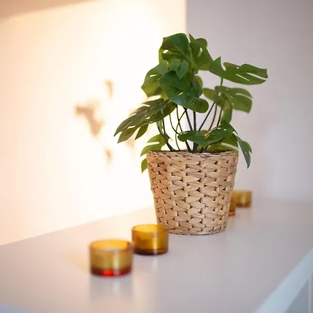 Fullhouse - Halle - Ab7 - Center